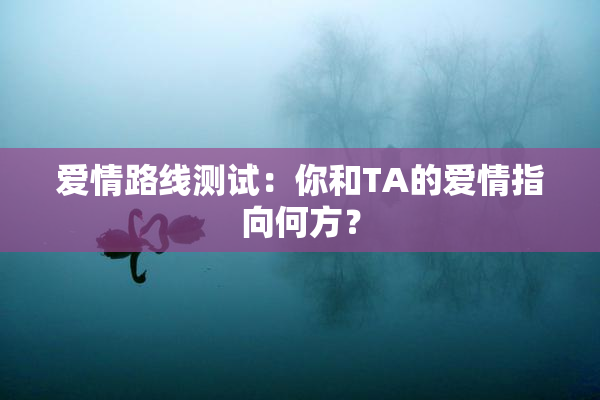 爱情路线测试：你和TA的爱情指向何方？