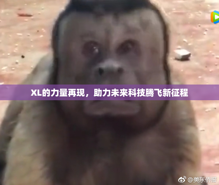 XL的力量再现，助力未来科技腾飞新征程