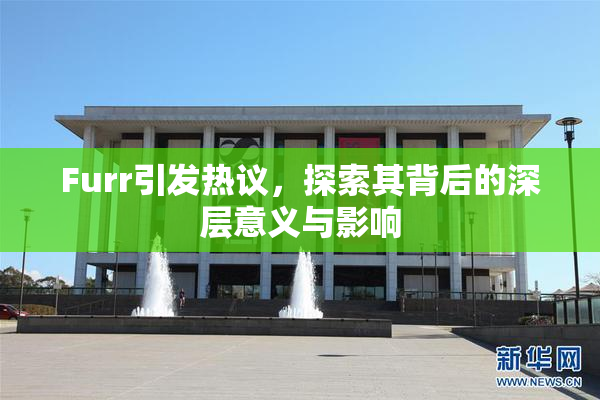 Furr引发热议，探索其背后的深层意义与影响