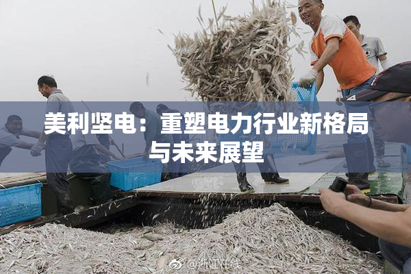 美利坚电：重塑电力行业新格局与未来展望