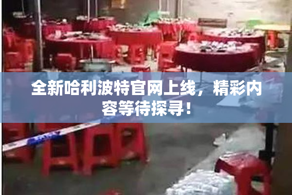 全新哈利波特官网上线，精彩内容等待探寻！