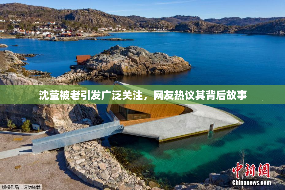 沈莹被老引发广泛关注，网友热议其背后故事