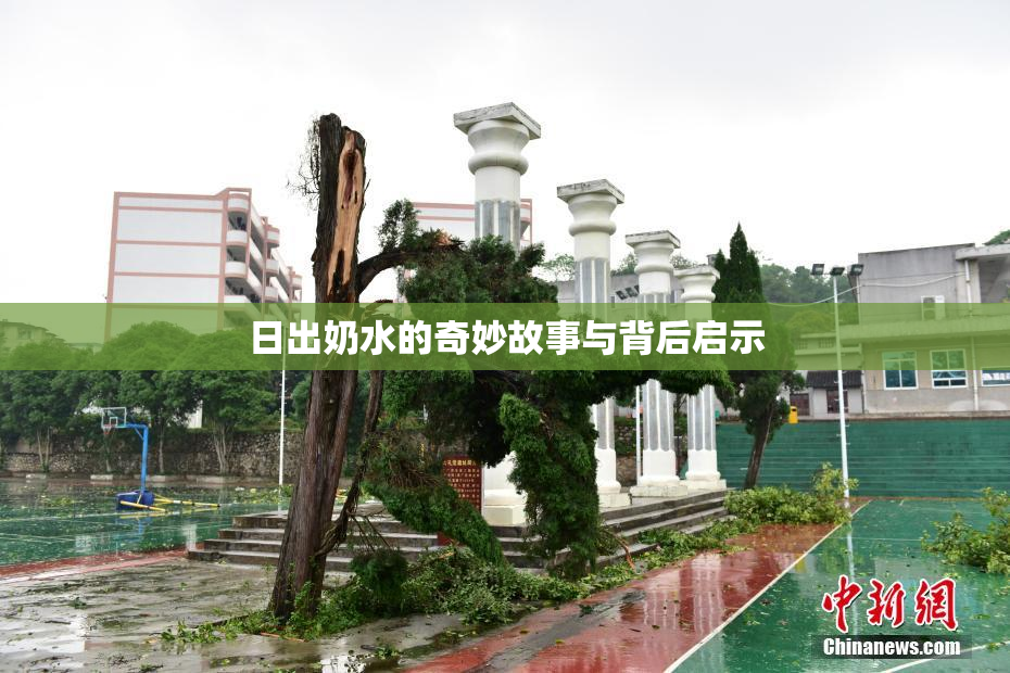 日出奶水的奇妙故事与背后启示