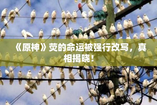 《原神》荧的命运被强行改写，真相揭晓！