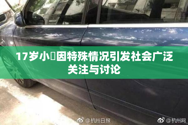 17岁小泬因特殊情况引发社会广泛关注与讨论