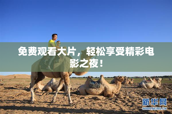 免费观看大片，轻松享受精彩电影之夜！