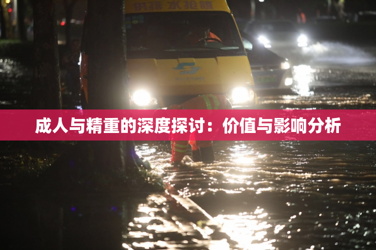 成人与精重的深度探讨：价值与影响分析