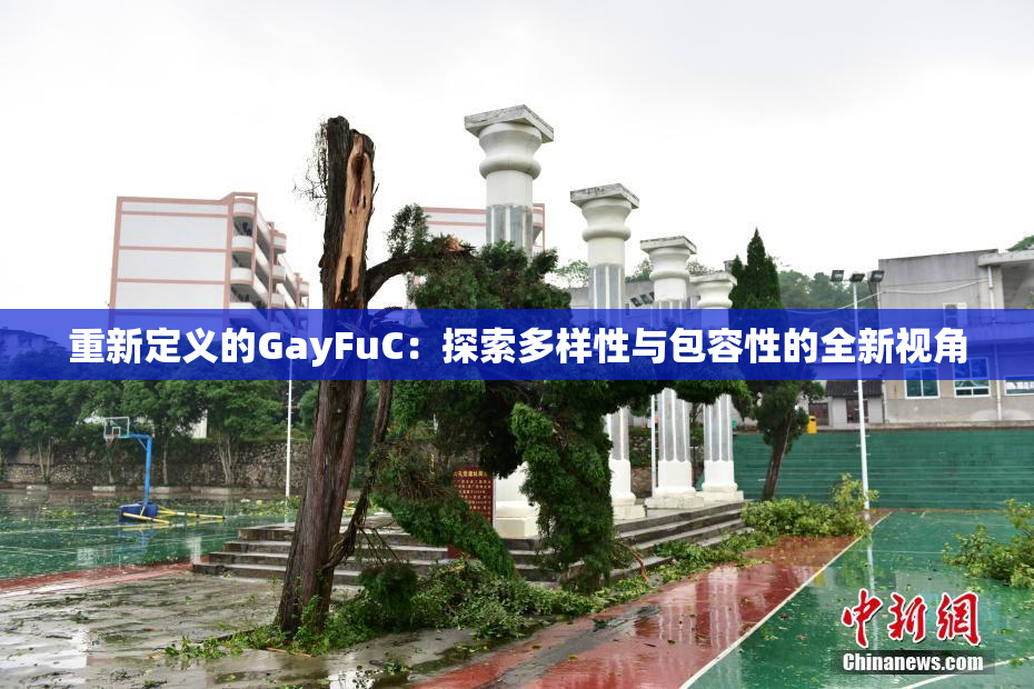 重新定义的GayFuC：探索多样性与包容性的全新视角