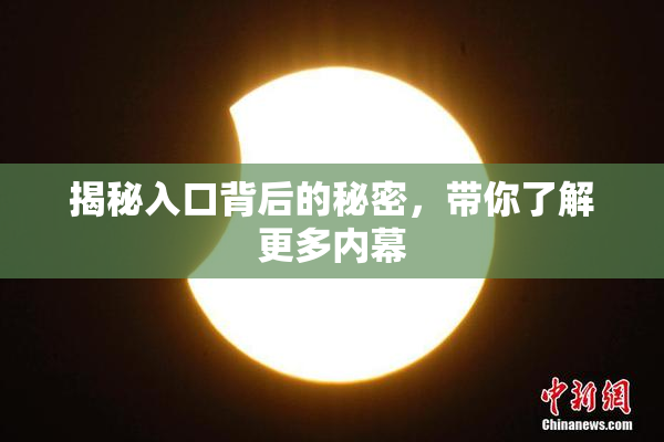 揭秘入口背后的秘密，带你了解更多内幕