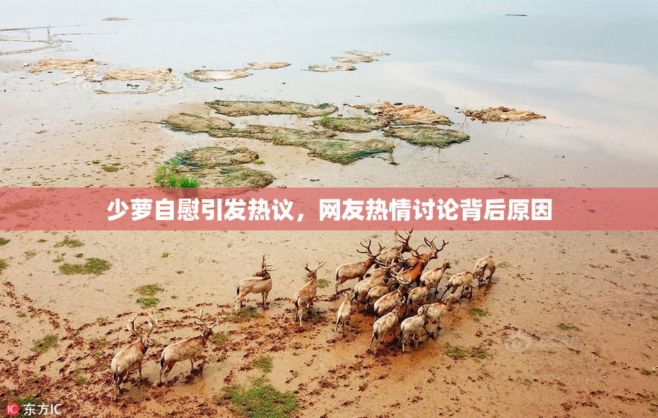 少萝自慰引发热议，网友热情讨论背后原因