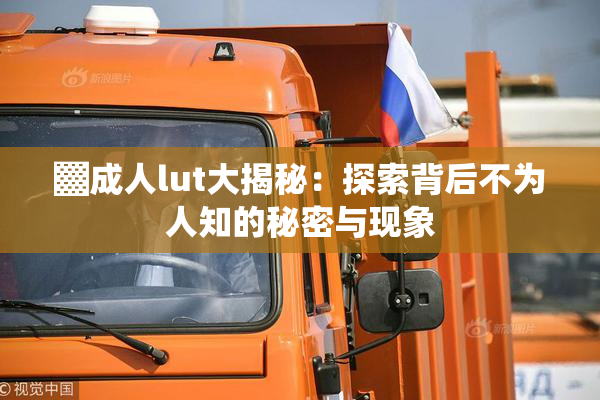 ▓成人lut大揭秘：探索背后不为人知的秘密与现象