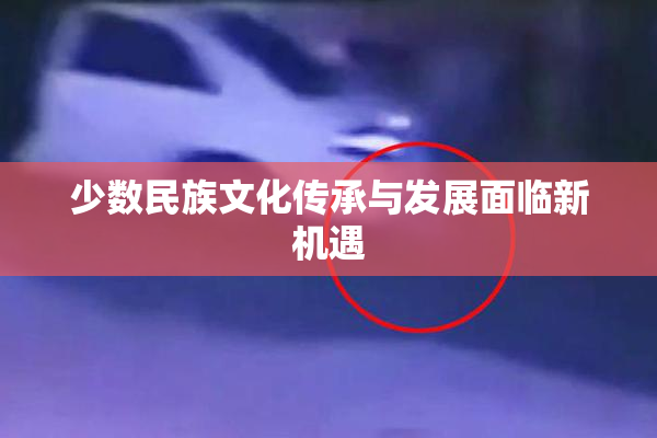 少数民族文化传承与发展面临新机遇