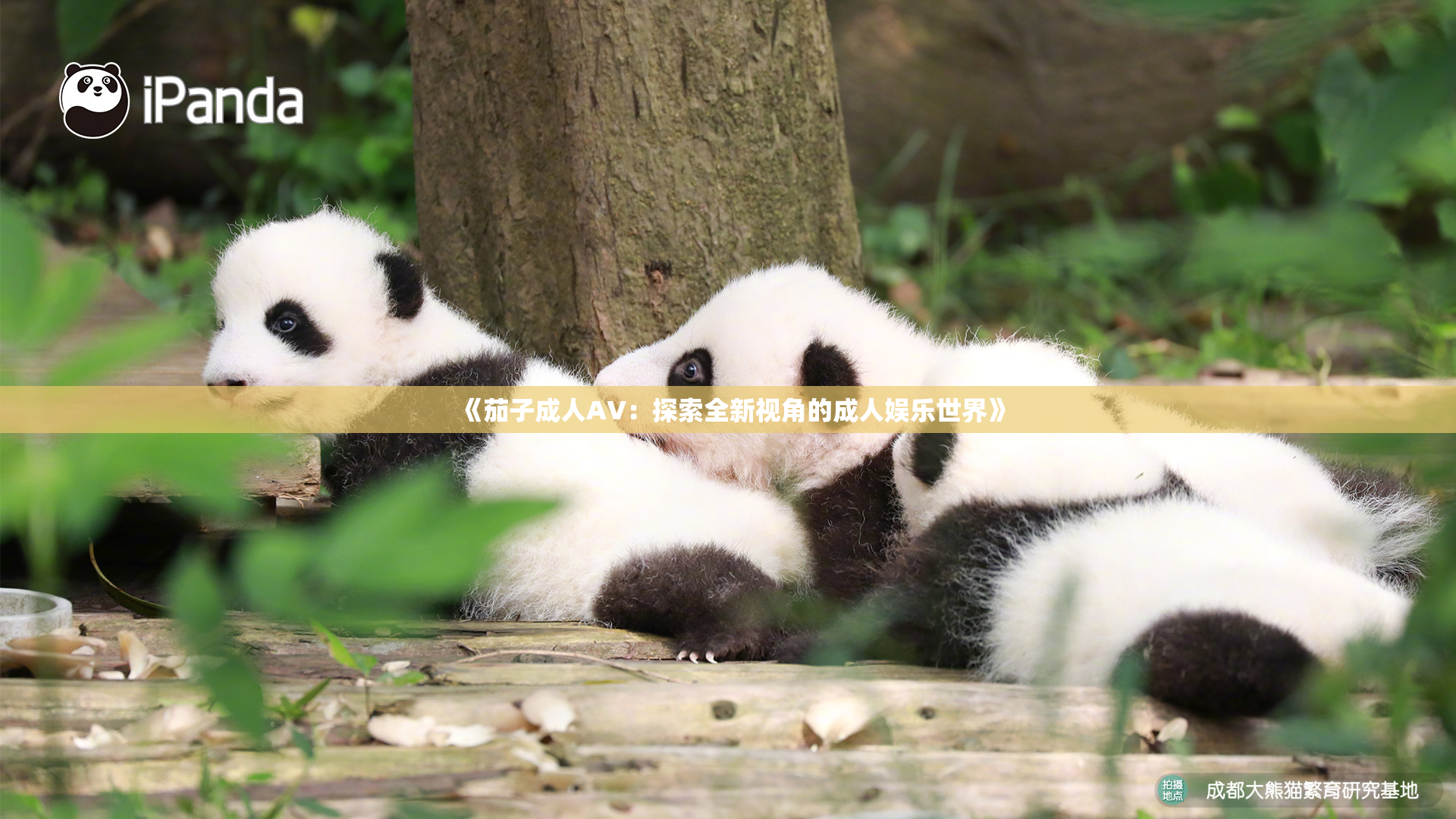 《茄子成人AV：探索全新视角的成人娱乐世界》