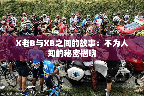 X老B与XB之间的故事：不为人知的秘密揭晓