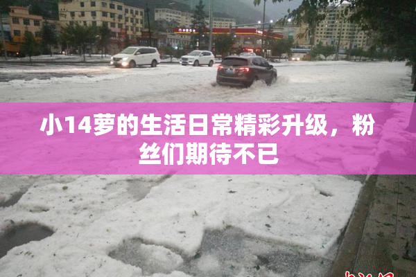 小14萝的生活日常精彩升级，粉丝们期待不已
