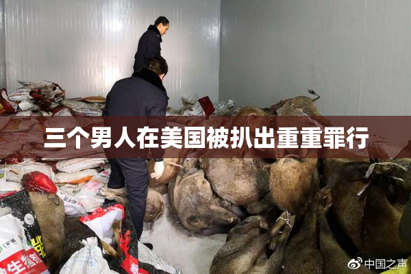 三个男人在美国被扒出重重罪行