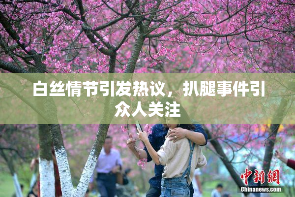 白丝情节引发热议，扒腿事件引众人关注