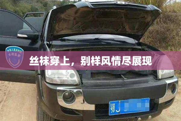 丝袜穿上，别样风情尽展现
