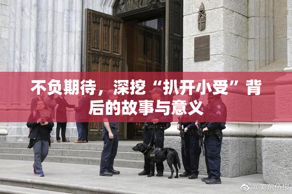 不负期待，深挖“扒开小受”背后的故事与意义