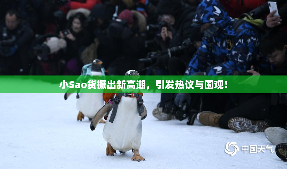 小Sao货撅出新高潮，引发热议与围观！