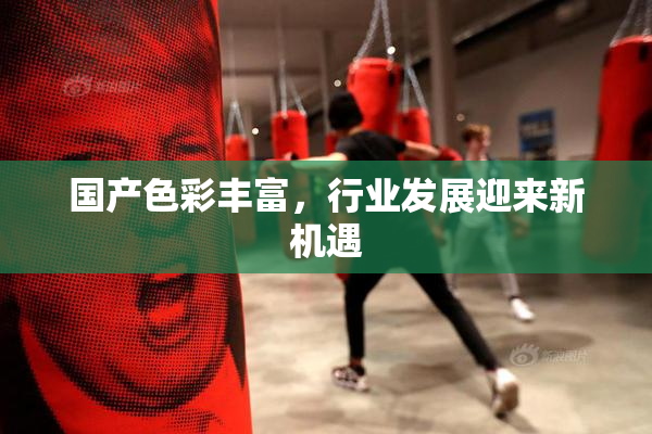 国产色彩丰富，行业发展迎来新机遇