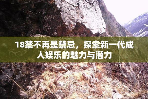 18禁不再是禁忌，探索新一代成人娱乐的魅力与潜力