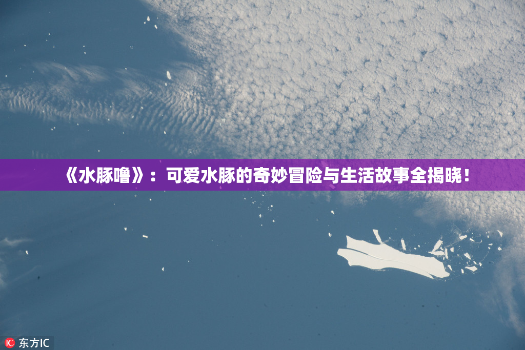 《水豚噜》：可爱水豚的奇妙冒险与生活故事全揭晓！