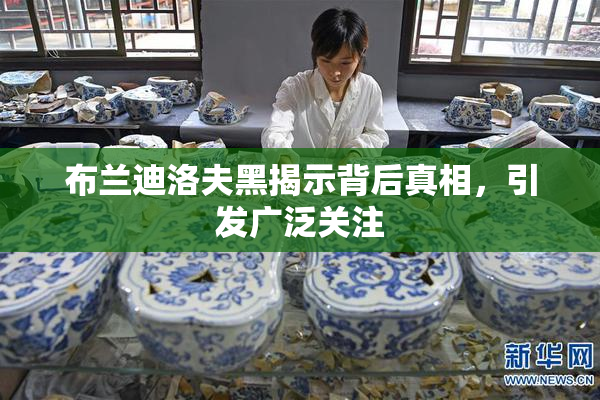 布兰迪洛夫黑揭示背后真相，引发广泛关注