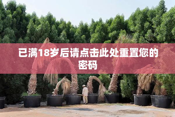 已满18岁后请点击此处重置您的密码