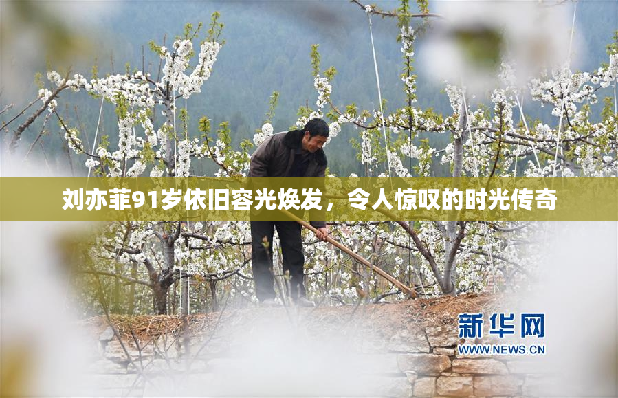 刘亦菲91岁依旧容光焕发，令人惊叹的时光传奇