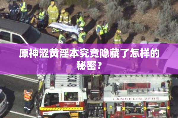 原神涩黄淫本究竟隐藏了怎样的秘密？