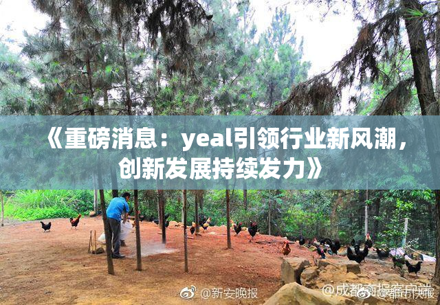 《重磅消息：yeal引领行业新风潮，创新发展持续发力》