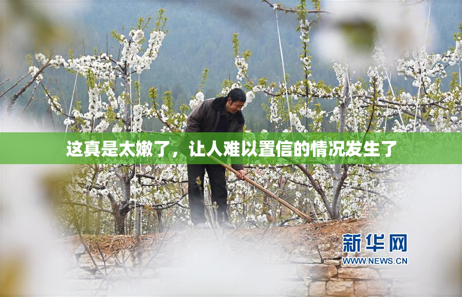 这真是太嫩了，让人难以置信的情况发生了