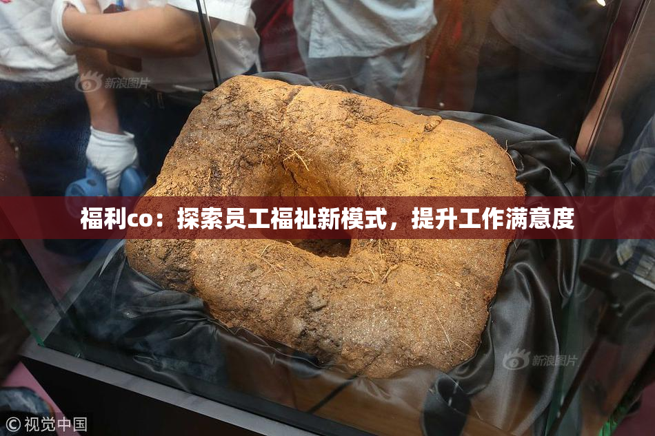 福利co：探索员工福祉新模式，提升工作满意度