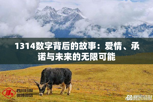 1314数字背后的故事：爱情、承诺与未来的无限可能
