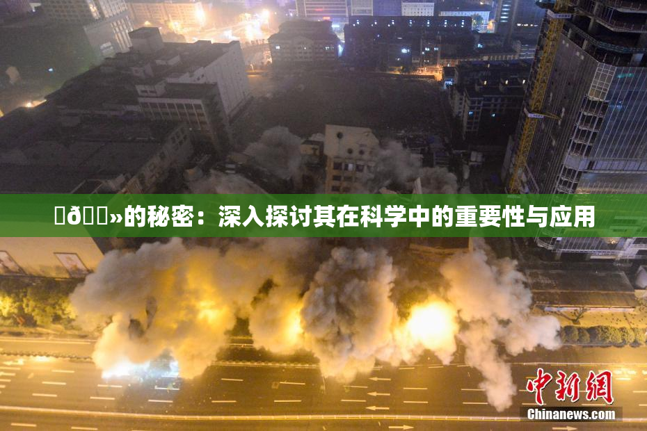 ‌🐻的秘密：深入探讨其在科学中的重要性与应用