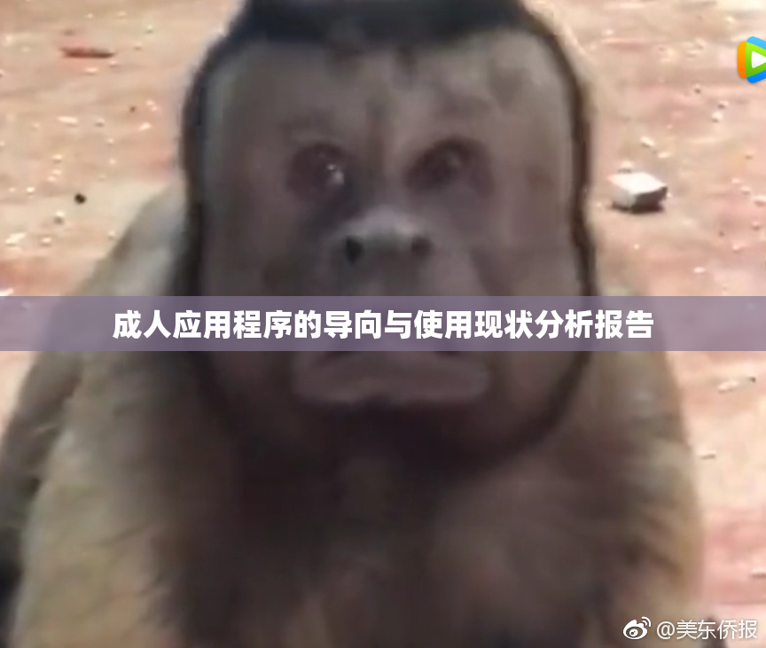 成人应用程序的导向与使用现状分析报告