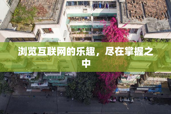 浏览互联网的乐趣，尽在掌握之中