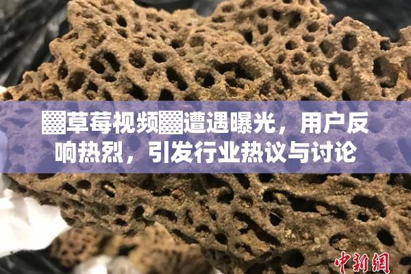 ▓草莓视频▓遭遇曝光，用户反响热烈，引发行业热议与讨论