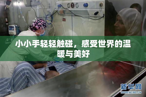 小小手轻轻触碰，感受世界的温暖与美好