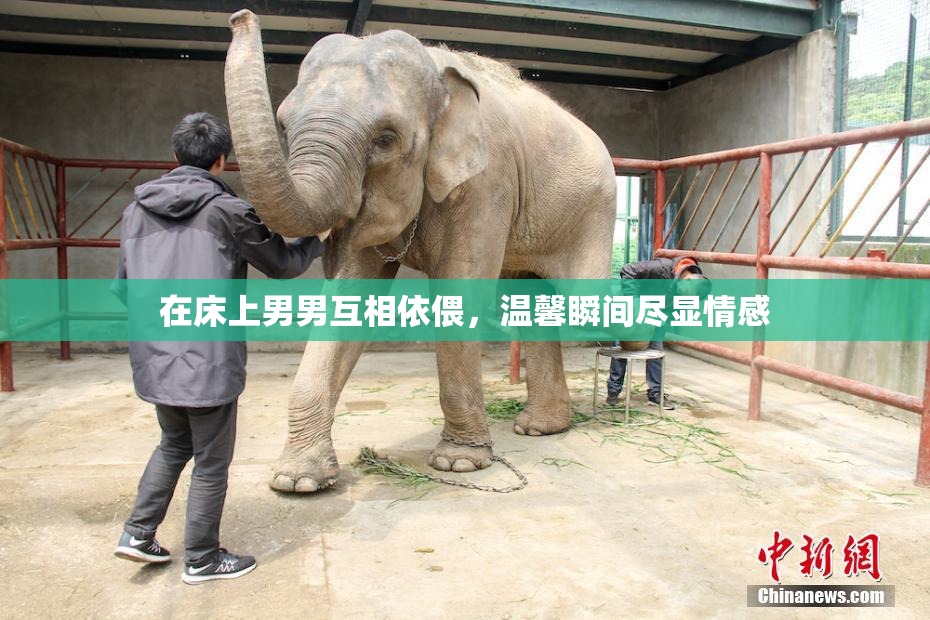 在床上男男互相依偎，温馨瞬间尽显情感