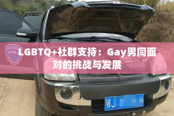 LGBTQ+社群支持：Gay男同面对的挑战与发展