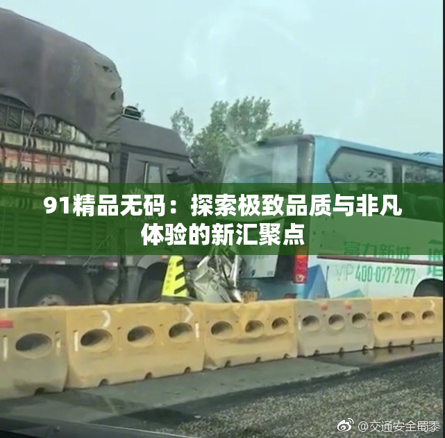 91精品无码：探索极致品质与非凡体验的新汇聚点