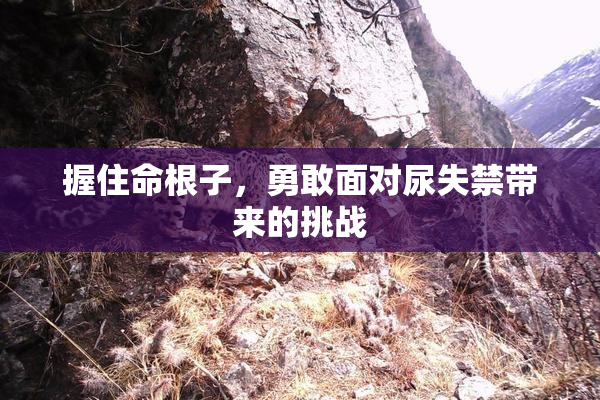 握住命根子，勇敢面对尿失禁带来的挑战