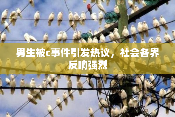 男生被c事件引发热议，社会各界反响强烈