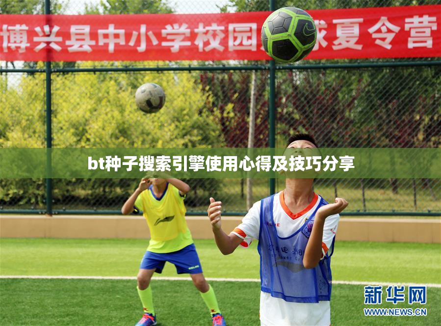 bt种子搜索引擎使用心得及技巧分享