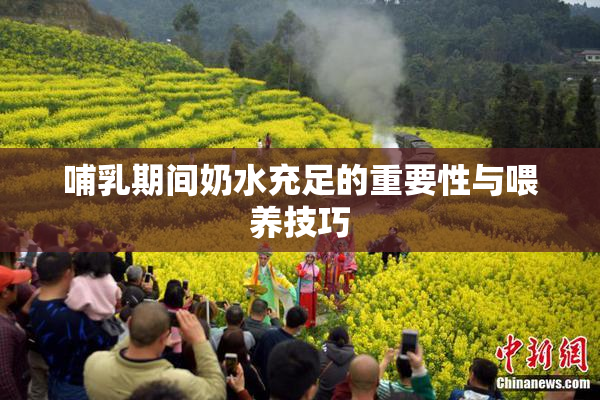 哺乳期间奶水充足的重要性与喂养技巧