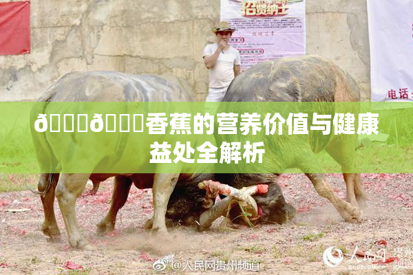 🔞🔞香蕉的营养价值与健康益处全解析