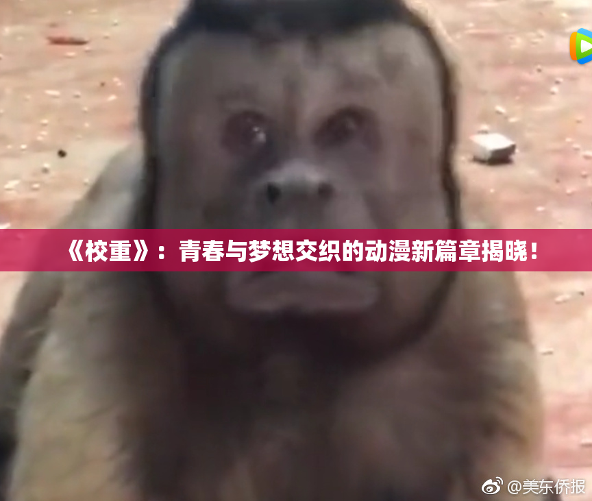 《校重》：青春与梦想交织的动漫新篇章揭晓！
