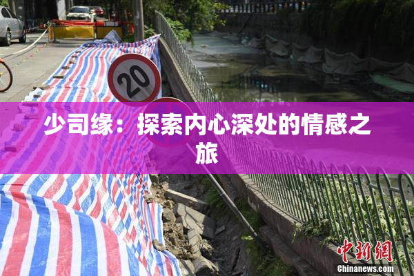 少司缘：探索内心深处的情感之旅